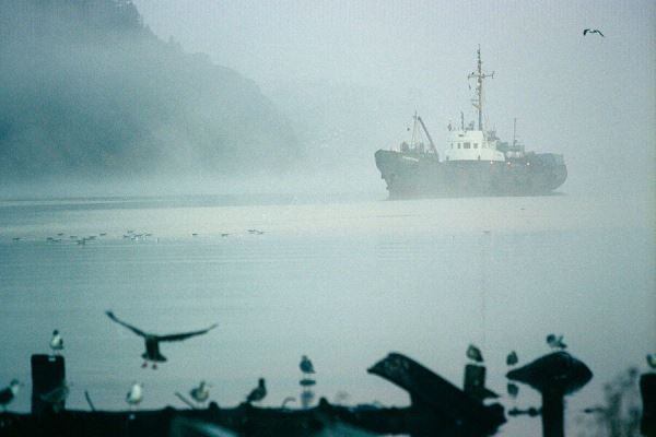Росморречфлот: 19 моряков с горящего в Южной Корее судна «Калтан» доставили на берег 