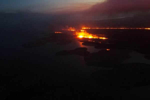 Ущерб от пожара в Астраханском биосферном заповеднике составил 0,5 млрд рублей 