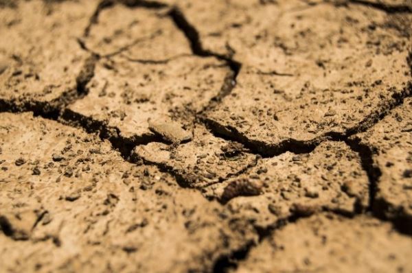 Politico: Европе грозят конфликты из-за нехватки воды в результате засухи