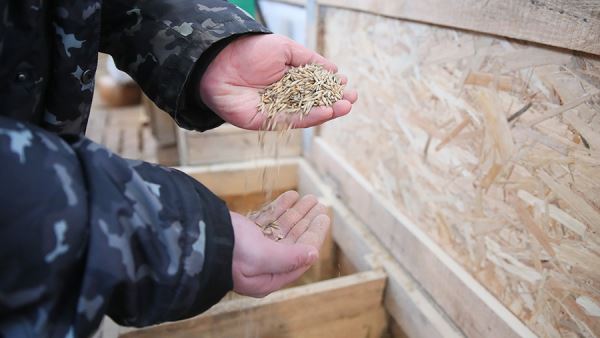 Лавров назвал несерьезным подход Запада к реализации зерновой сделки<br />
