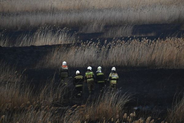 МЧС: в Омской области горит 15 тыс. квадратных метров сухого камыша 